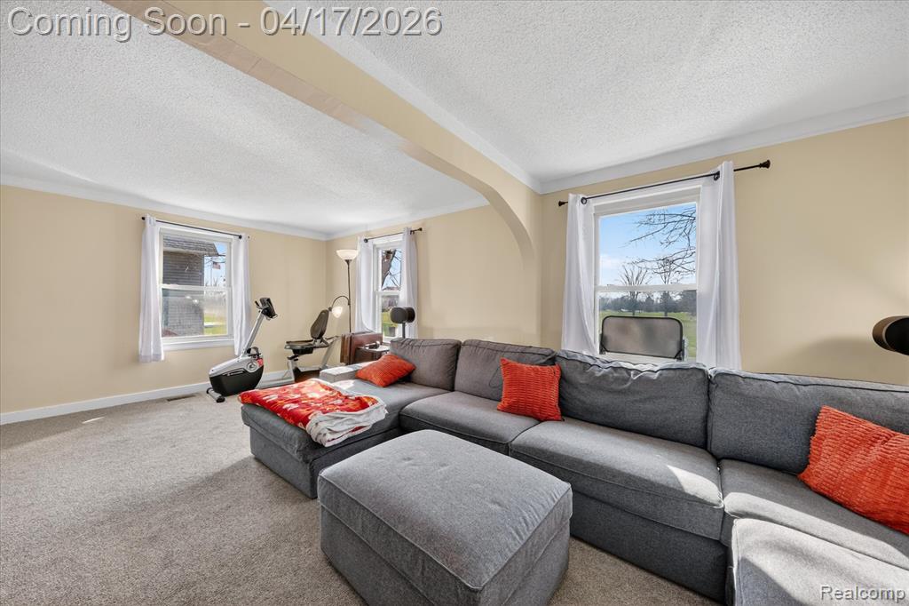 102 S Matteson Street, Capac, MI 48014 — Photo 9