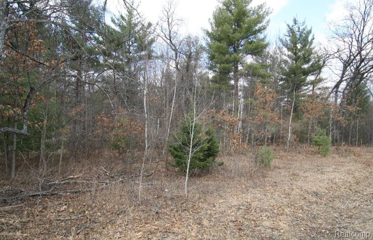 V/L S BRODIE Road, South Branch, MI 48761 — Photo 4