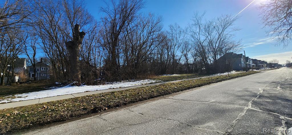 402 E EUCLID Street, Detroit, MI 48202 — Photo 3