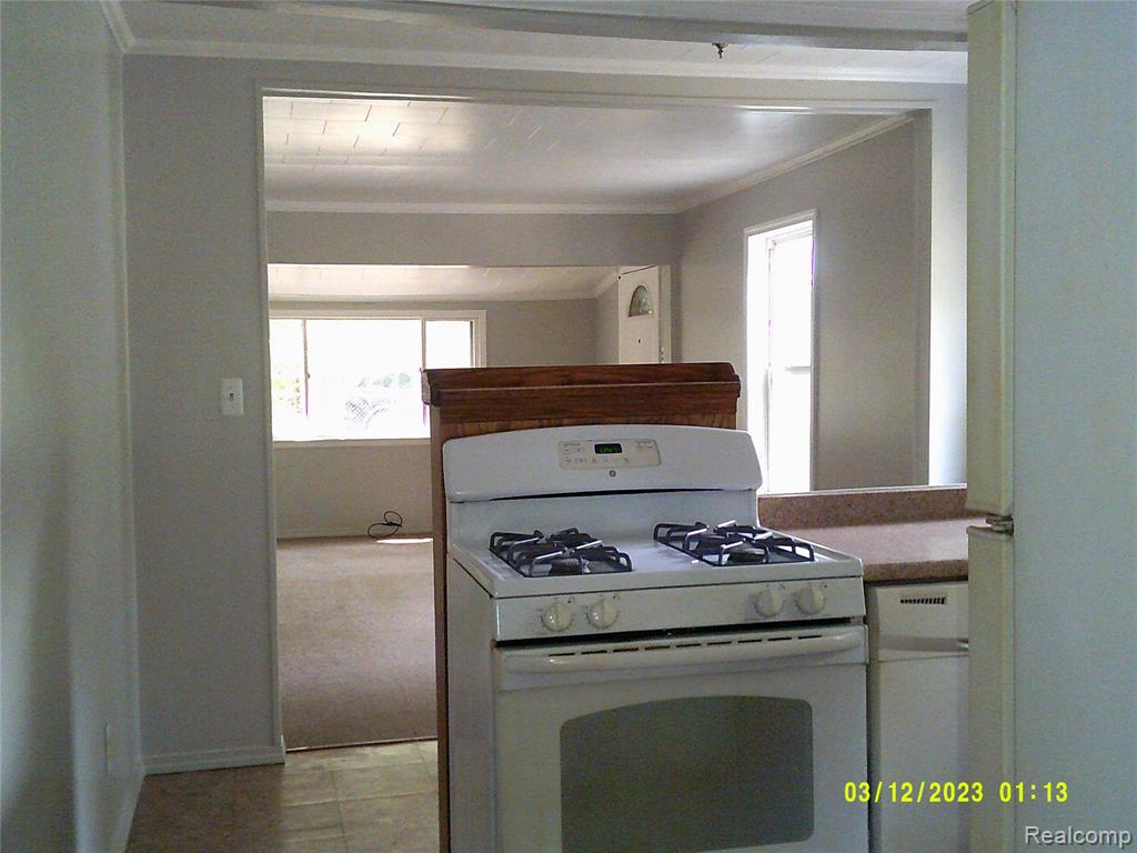 365 Grove Street, Whitmore Lake, MI 48189 — Photo 9