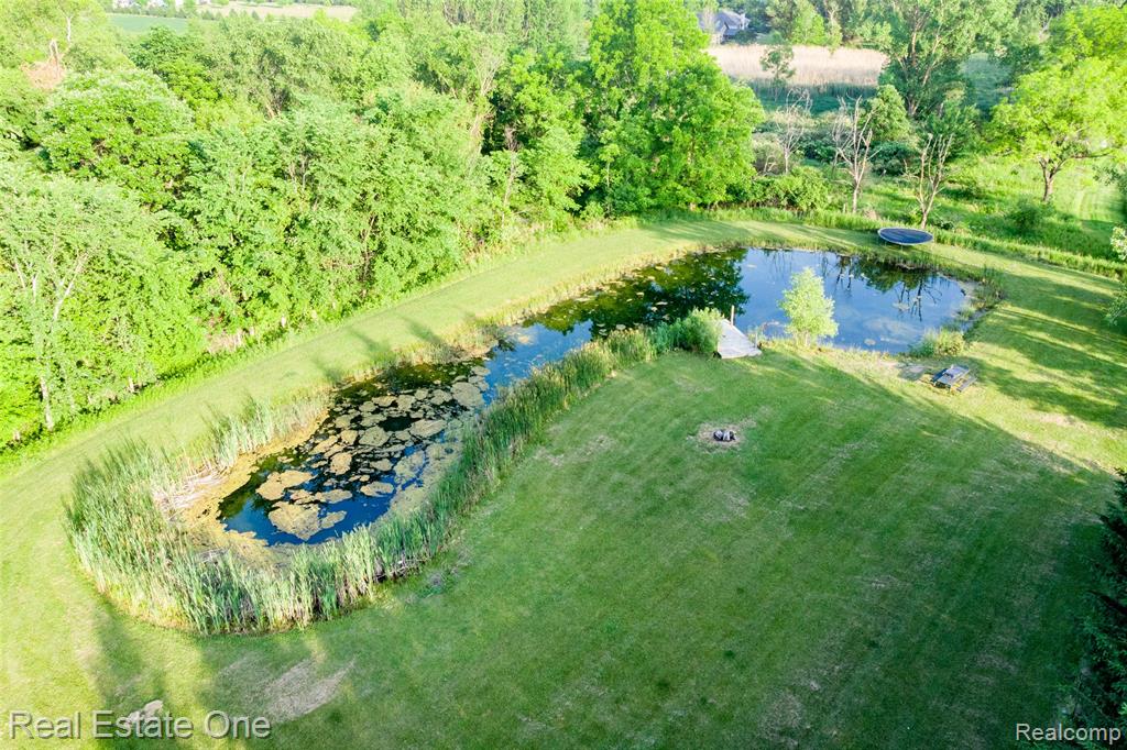 10125 Chase Lake Road, Fowlerville, MI 48836 — Photo 38
