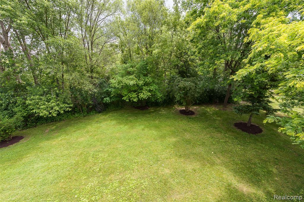 7509 Lake Street, Dexter, MI 48130 — Photo 17