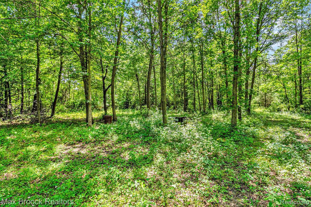 7132 N Oak Road, Davison, MI 48423 — Photo 5