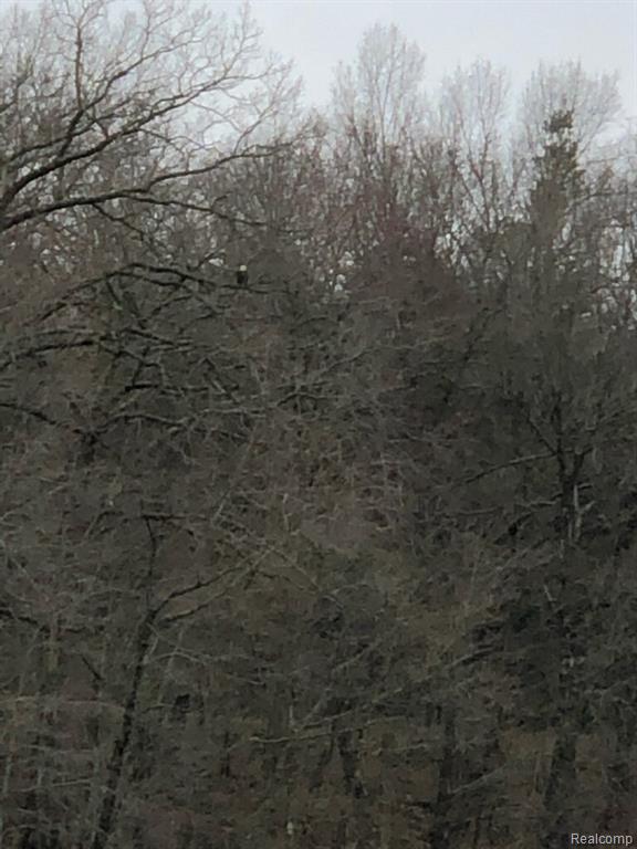 63 Lakeview Drive, Oxford, MI 48370 — Photo 32