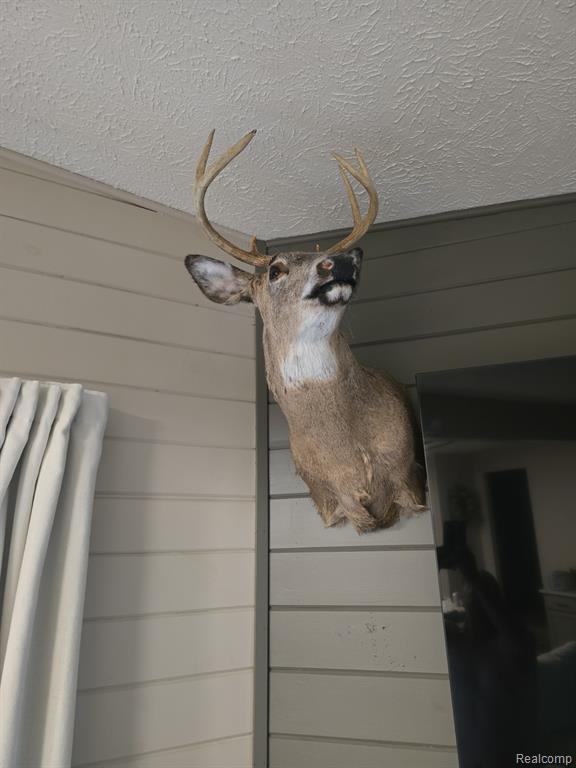 VL Mertz Road, Mayville Vlg, MI 48744 — Photo 31