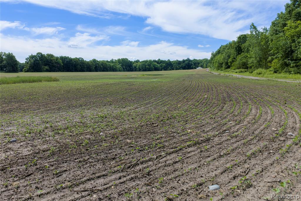 10069 Silver Lake Road, Linden, MI 48451 — Photo 12
