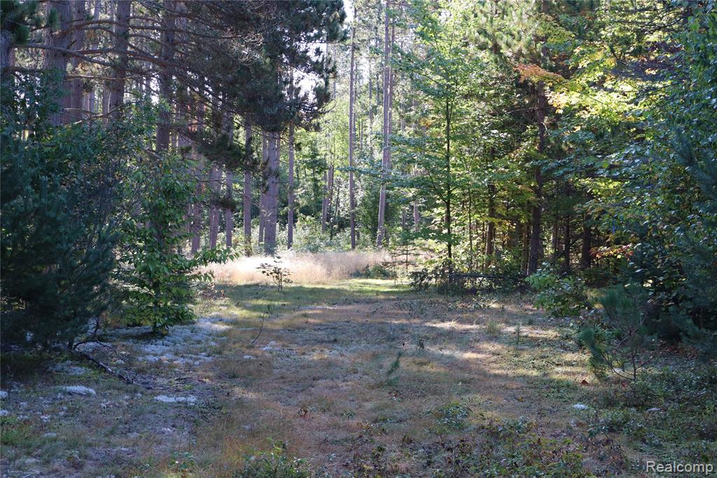 Lot D W Pendills Lake Road, Brimley, MI 49715 — Photo 40