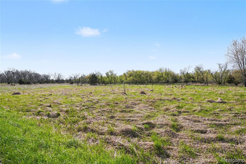 8857 Bath Road, Byron, MI 48418 — Photo 11