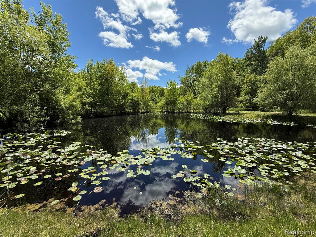 7333 Toma Road, Dexter, MI 48130 — Photo 12