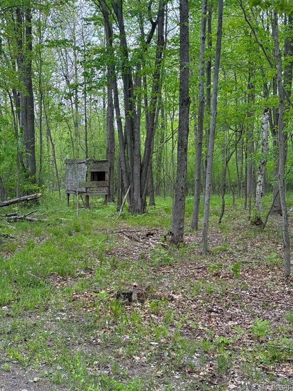 5994 N Lake Sanford Road, Sanford, MI 48657 — Photo 28