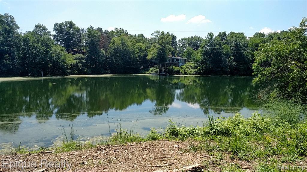 300 W Dewey Road, Owosso, MI 48867 — Photo 14