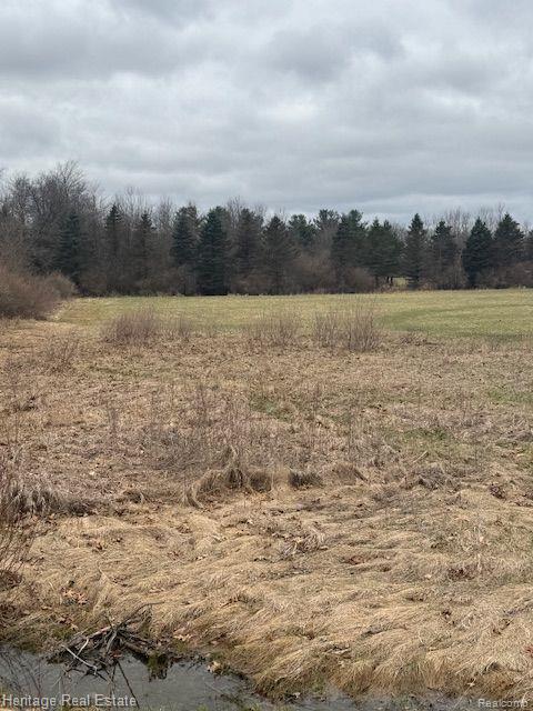 Lot C Rosy, Leonard, MI 48367 — Photo 3