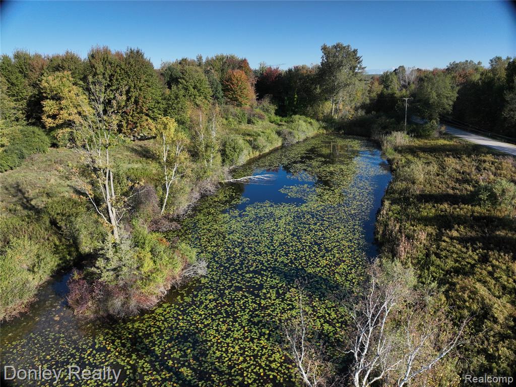 5872 S Kingston Road, Clifford, MI 48727 — Photo 19