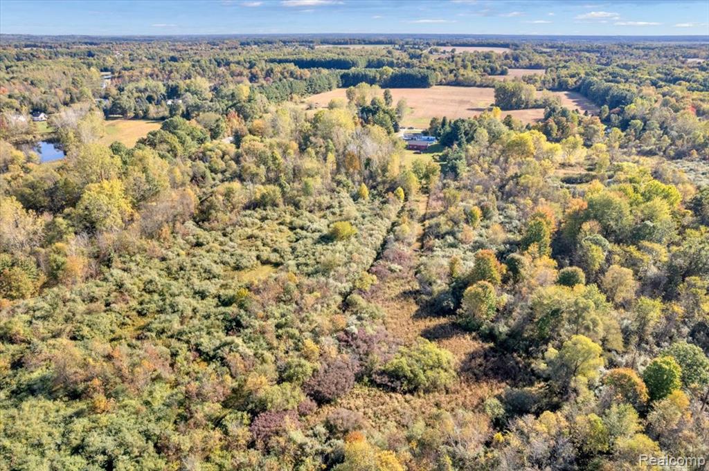 2953 N Summers Road, Imlay City, MI 48444 — Photo 9