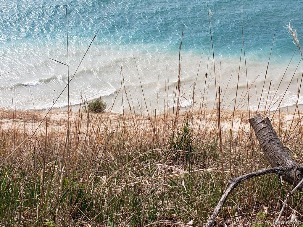 Parcel A Lake Bluff Drive, Arcadia, MI 49613 — Photo 5