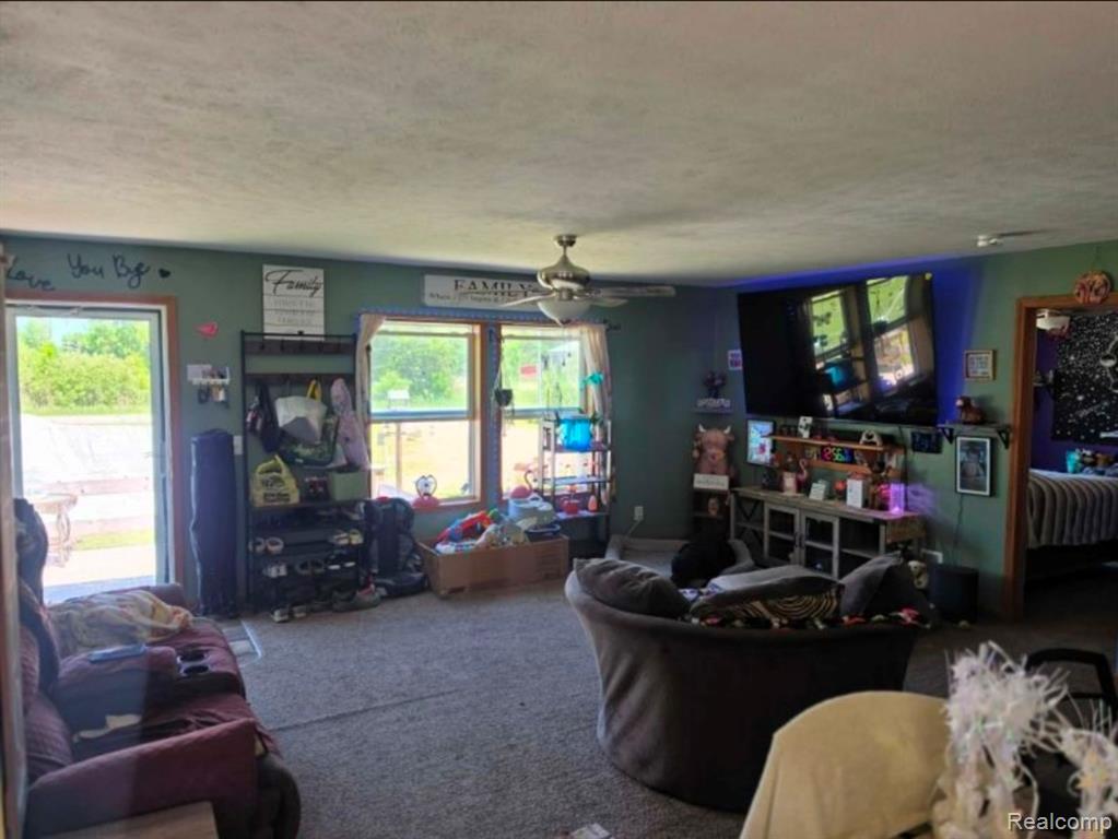 20 E Mier Road, Sanford, MI 48657 — Photo 11