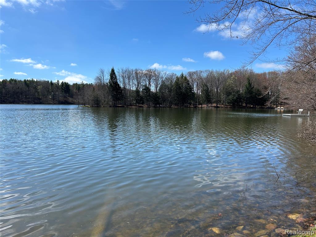 3805 Lee Hill Road, Mayville Vlg, MI 48744 — Photo 5