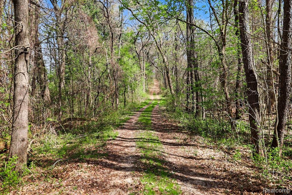 8815 Milford Road, Holly, MI 48442 — Photo 26