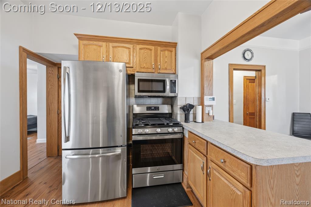251 Richter Street, River Rouge, MI 48218 — Photo 13