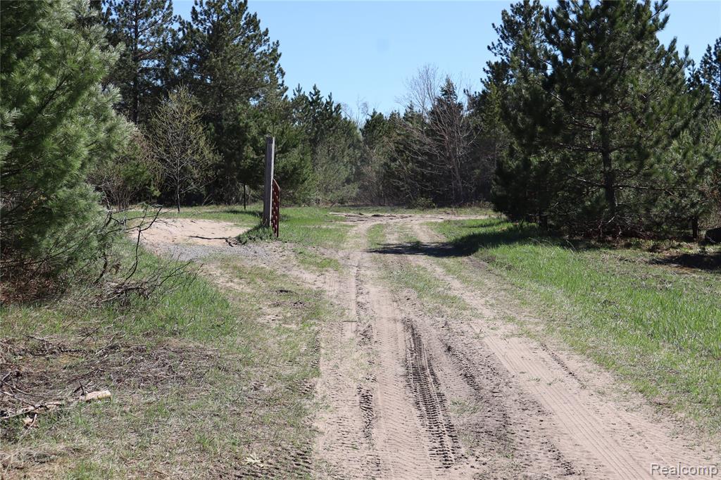 5575 E 26 Mile Road, Pickford, MI 49774 — Photo 12