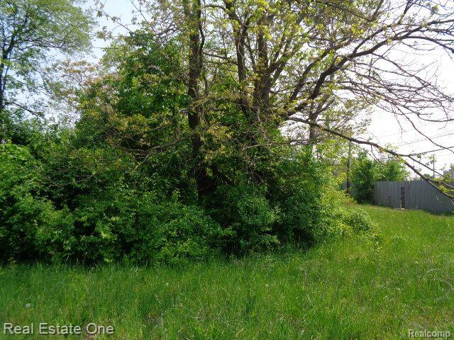 1051 CONCORD Street, Detroit, MI 48207 — Photo 7