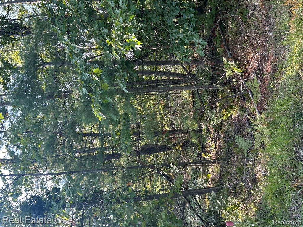 LOTS 1797 and 1798 Sandpiper Trail, Gaylord, MI — Photo 3