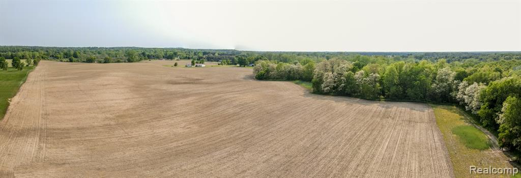 VL Mertz Road, Mayville Vlg, MI 48744 — Photo 5