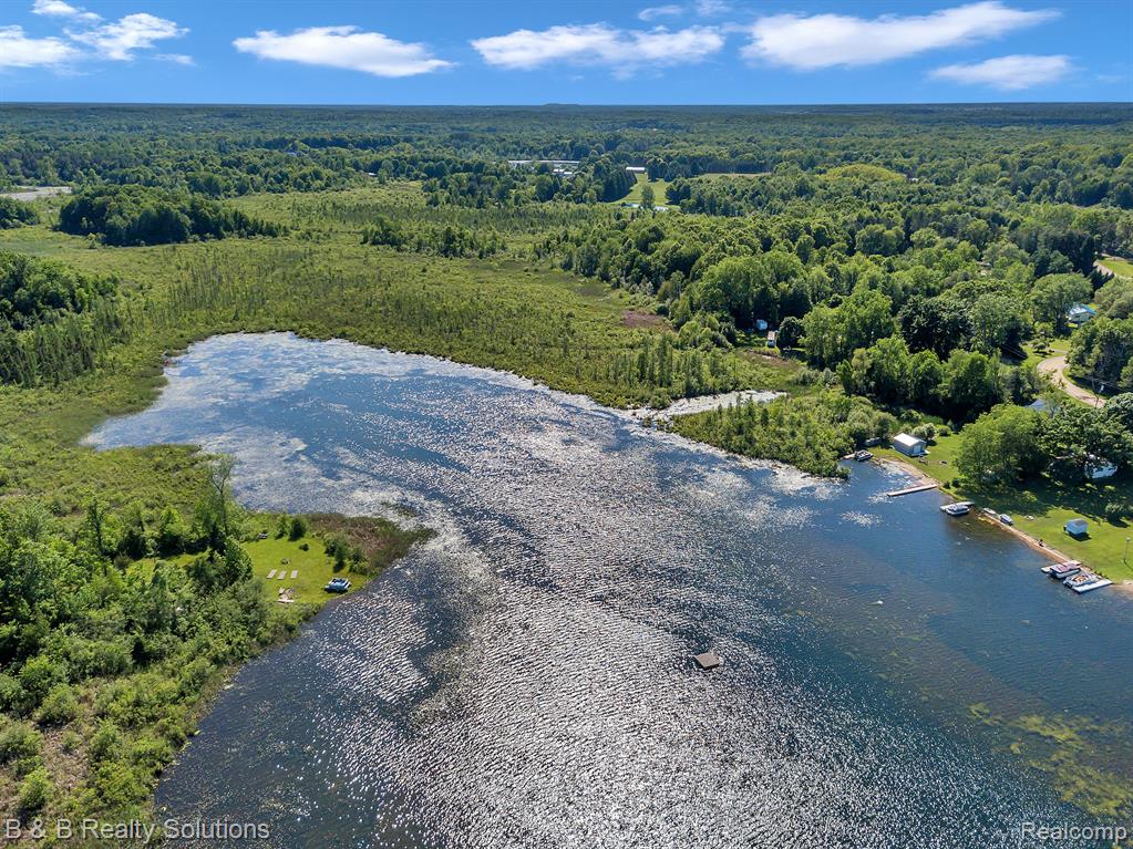 423 LOU ALICE Drive, Columbiaville, MI 48421 — Photo 47