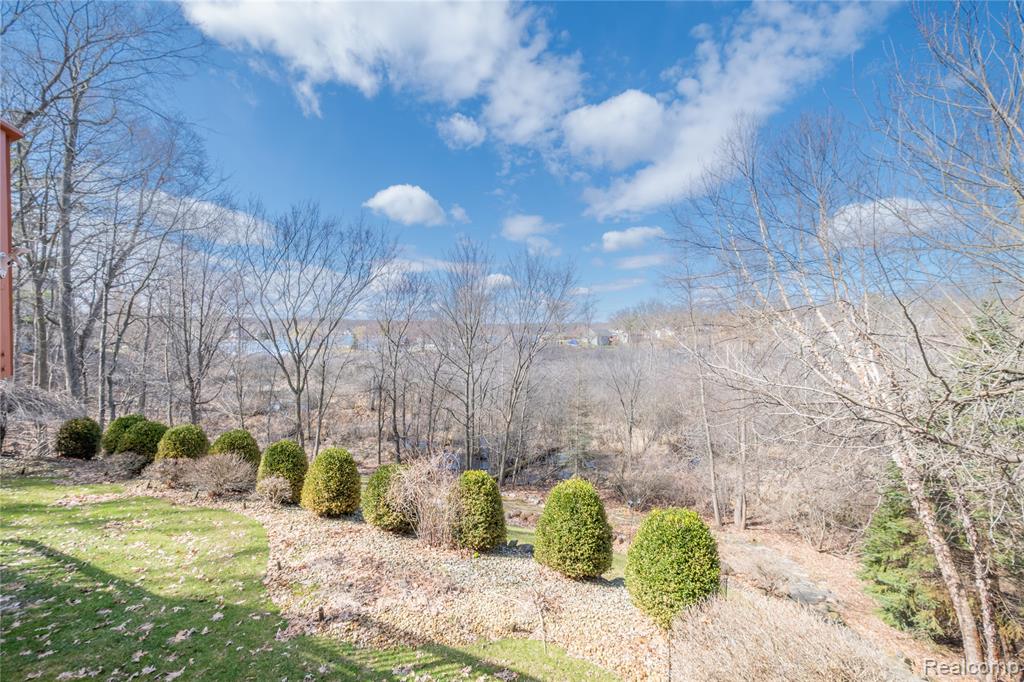 4204 Pavilion Court, Fenton, MI 48430 — Photo 4