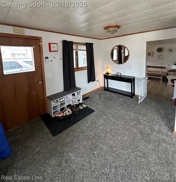200 S Hayes Street, Farwell, MI 48622 — Photo 9