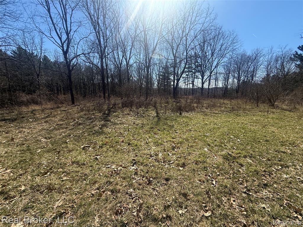 1802 N Elba Road, Lapeer, MI 48446 — Photo 52