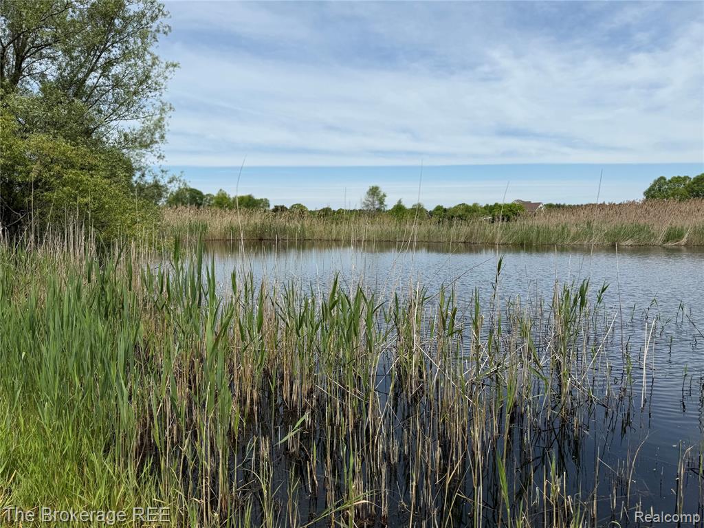 3020 Merwin Road, Lapeer, MI, 48446