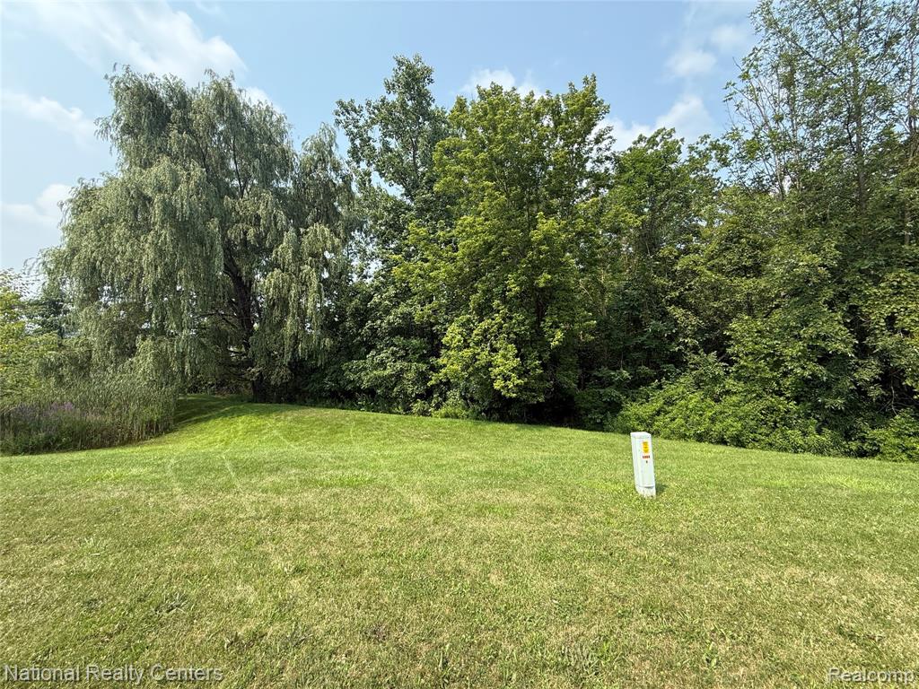 10422 Valley Creek Drive, Goodrich Vlg, MI