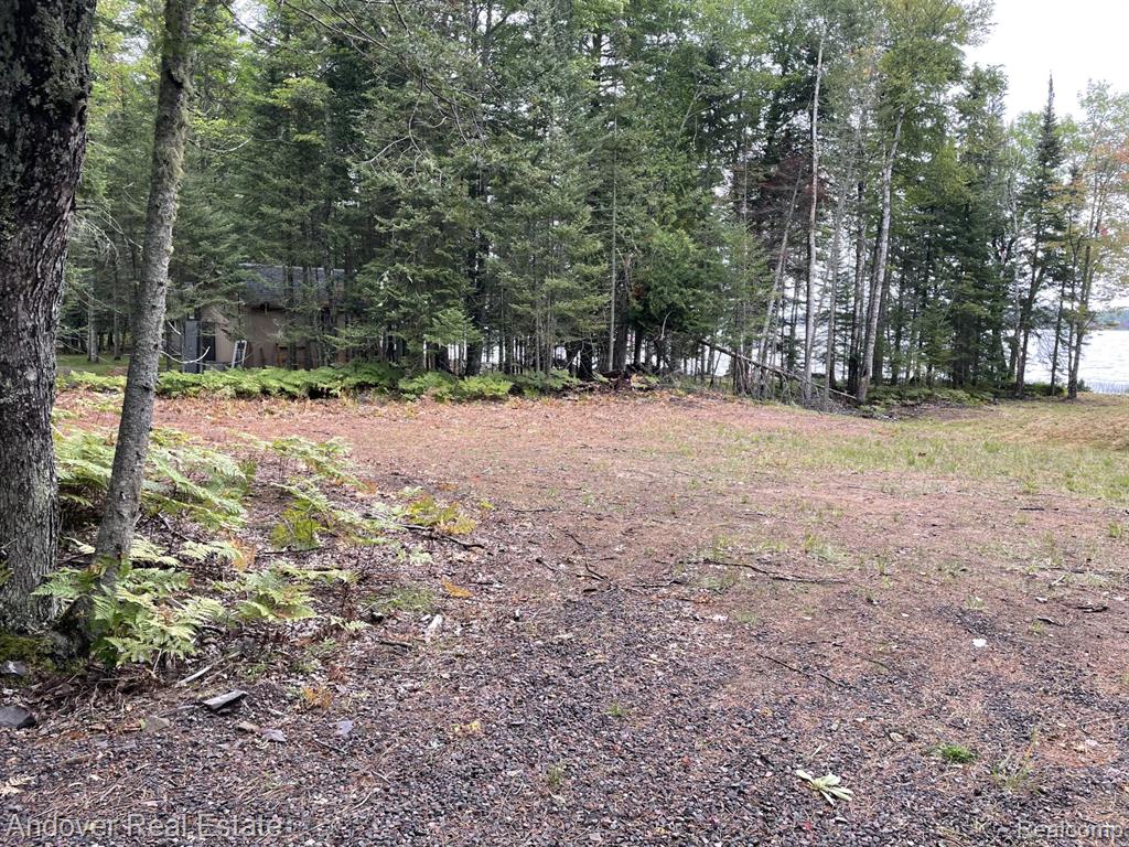 Lot# 11 Western, MI — Photo 5