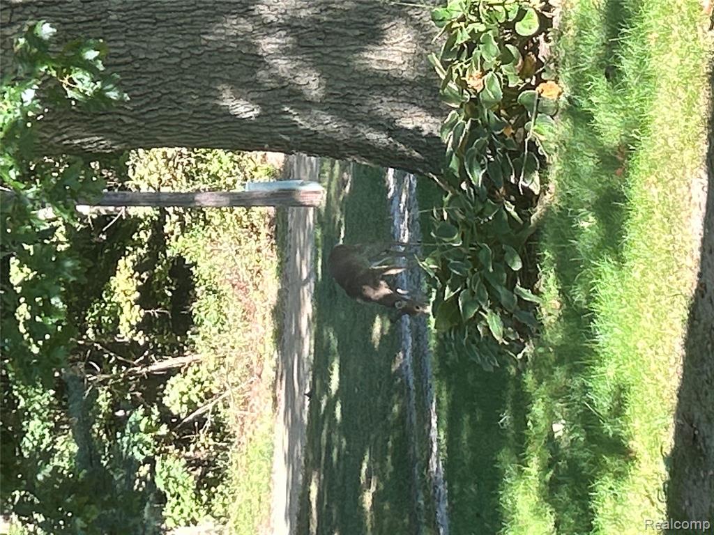 90 S Elm Grove Road, Lapeer, MI 48446 — Photo 25