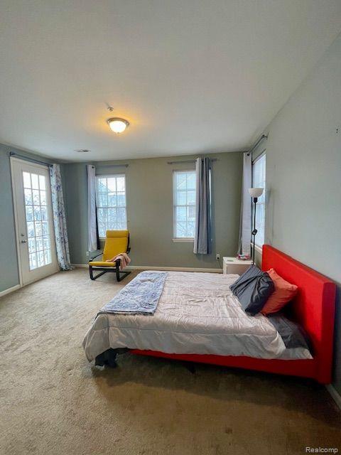 317 PATRIOT Street, Canton, MI 48188 — Photo 10