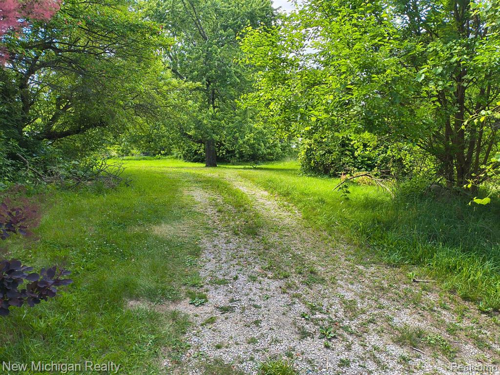17221 W US HIGHWAY 223, Addison, MI 49220 — Photo 6