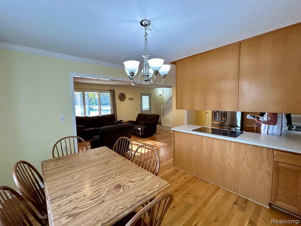 413 MARION, Clinton, MI 49236 — Photo 10