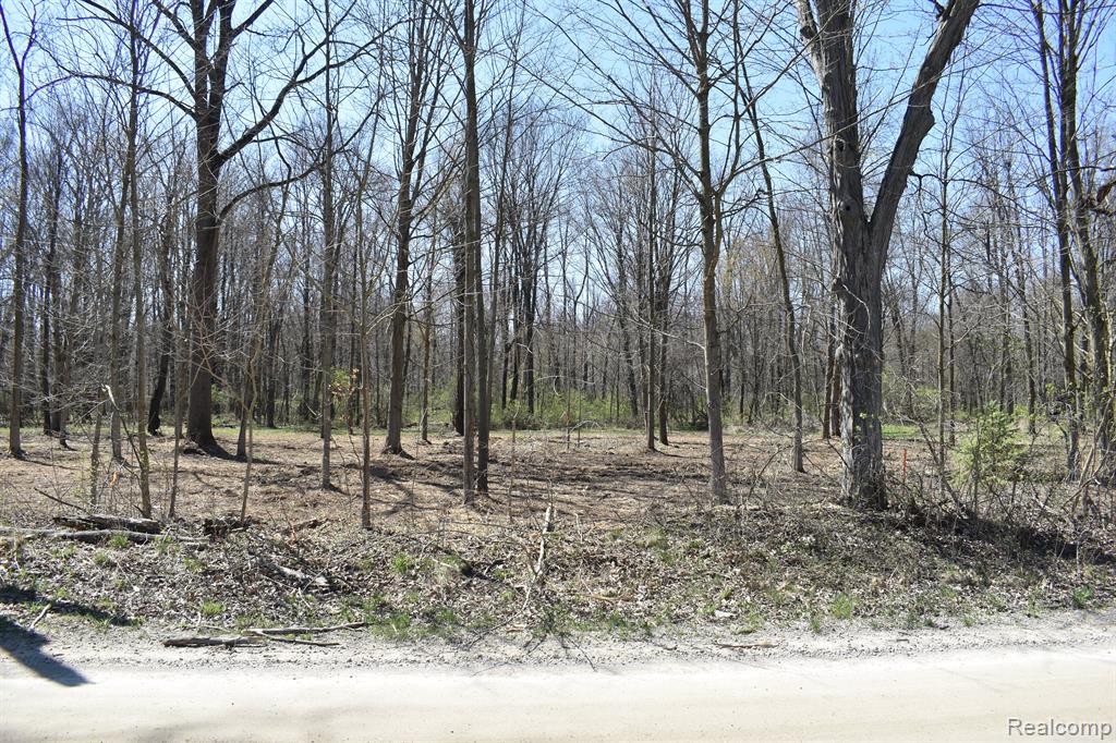 P-9 W ALLEN Road, Fowlerville, MI 48836 — Photo 3