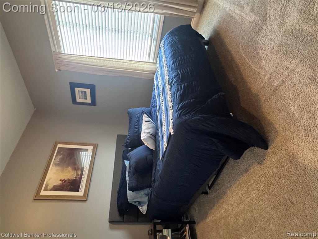 6060 INTRINSIC Lane, Imlay City, MI 48444 — Photo 21