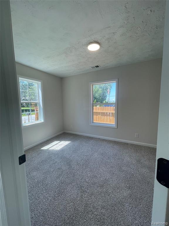 5685 Venice Road, Newport, MI 48166 — Photo 11