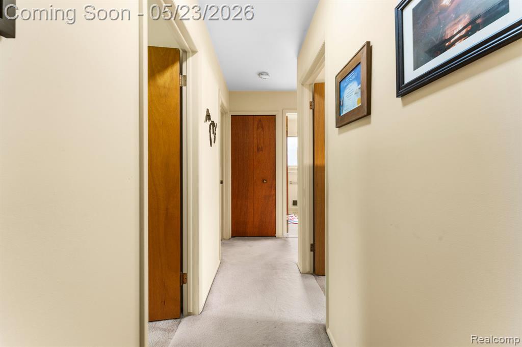 14148 Hayrake Hollow, Chelsea, MI 48118 — Photo 29