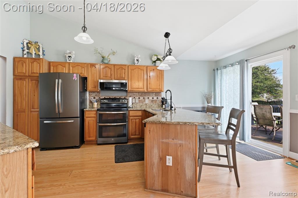503 W Hamburg Street, Pinckney, MI 48169 — Photo 10