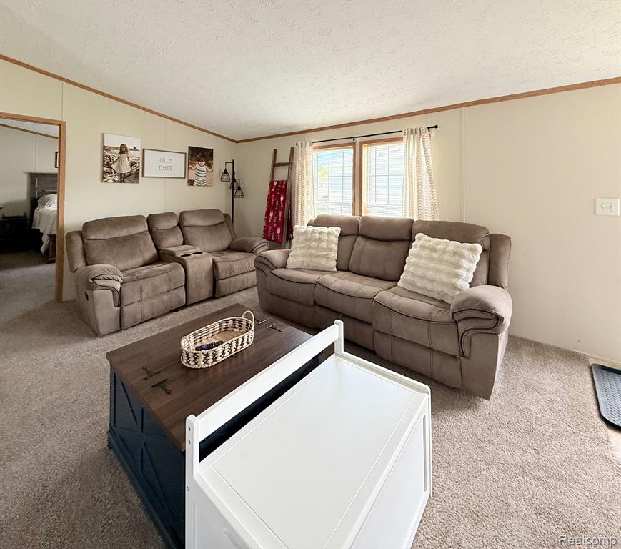 317 Scarlet Oak Lane, Whittaker, MI 48190 — Photo 6