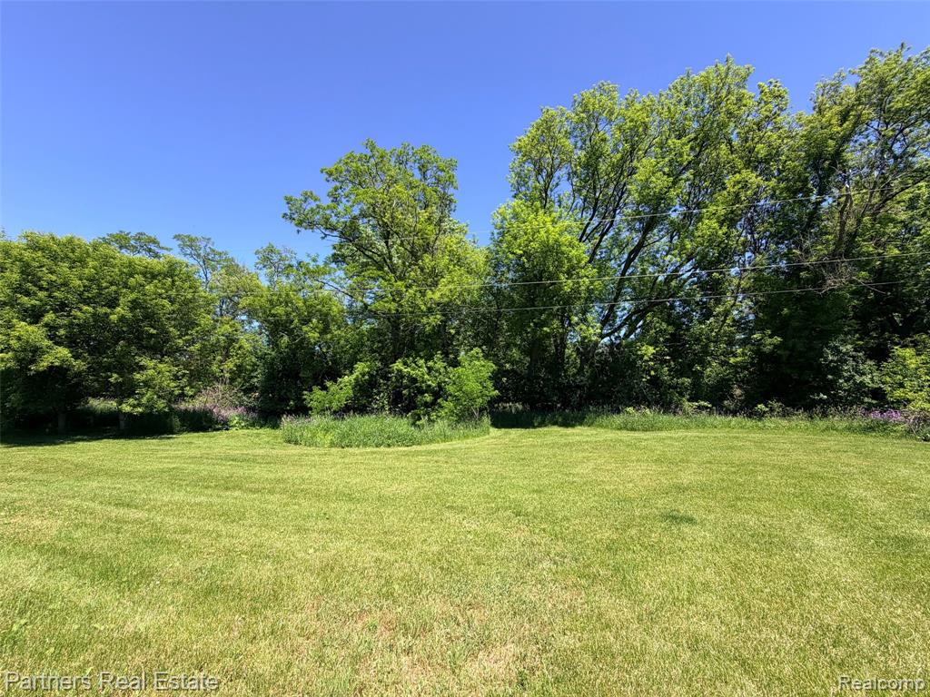 Vacant McKeachie Road, White Lake, MI 48383 — Photo 10
