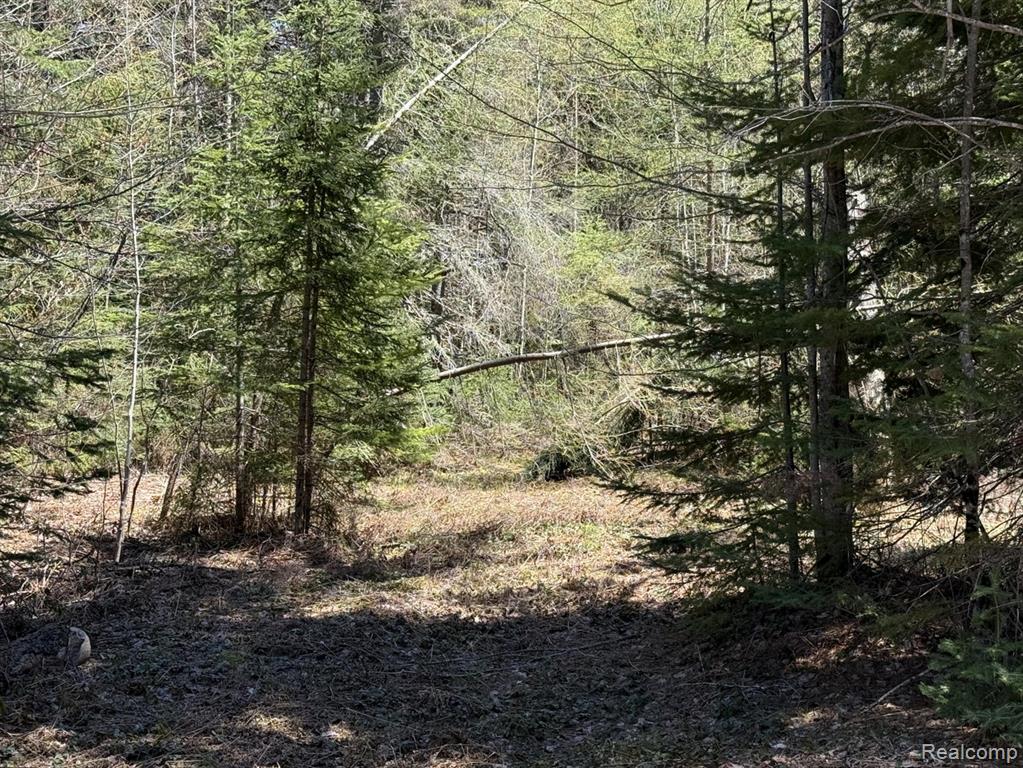 9718 W Black River Road, Naubinway, MI 49762 — Photo 14