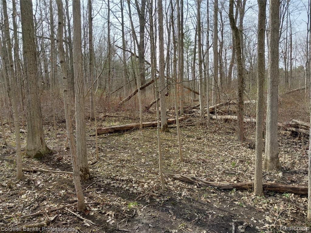 VL Rattle Run Road, St. Clair, MI 48079 — Photo 18