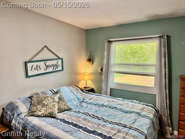 3148 Hogback Road, Fowlerville, MI 48836 — Photo 28