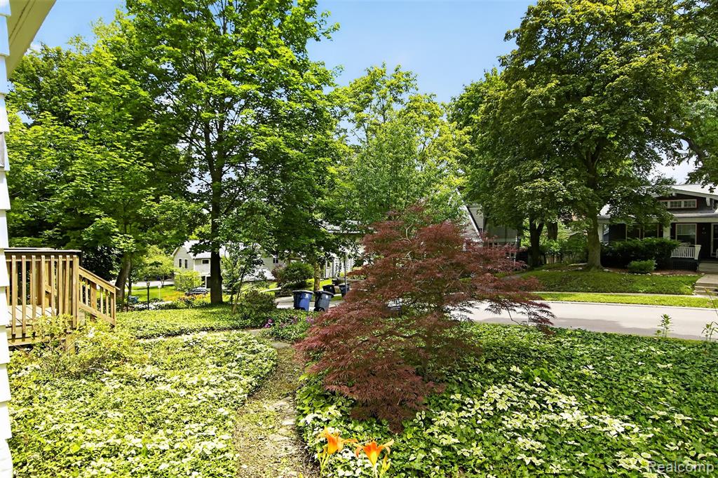 315 Doty Avenue, Ann Arbor, MI 48103 — Photo 9