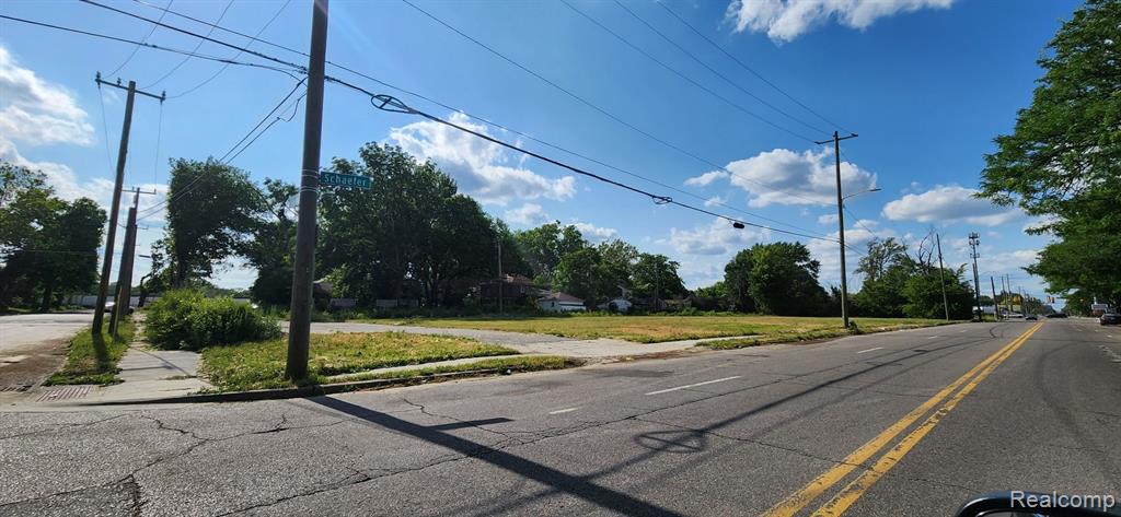 8647 SCHAEFER, Detroit, MI 48228 — Photo 3